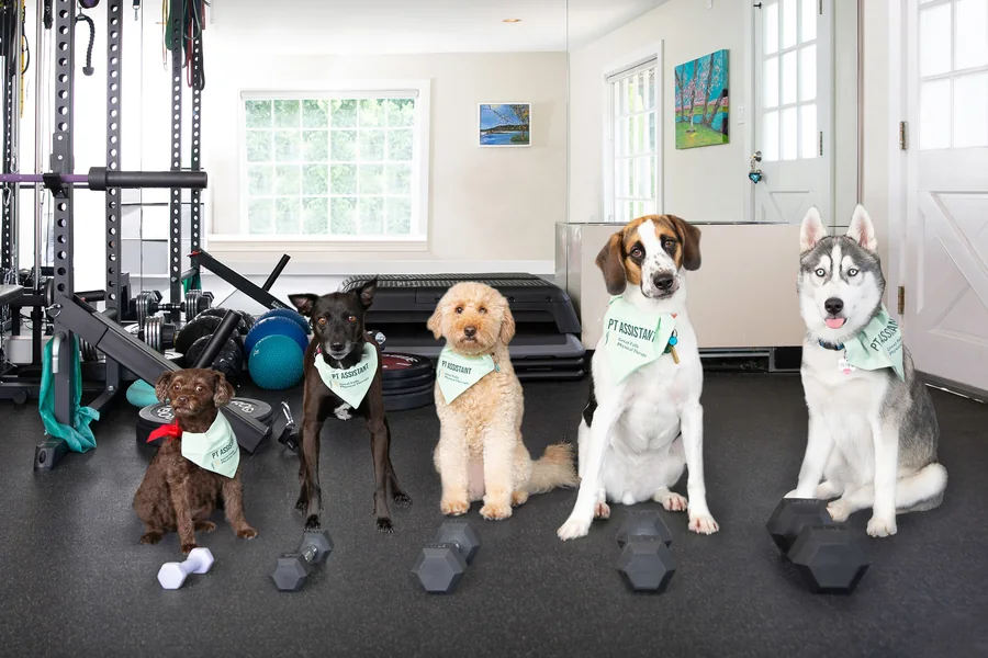 GFPT therapy assistants together